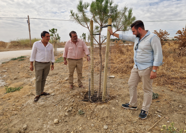 Plantación de 100 árboles en el ...